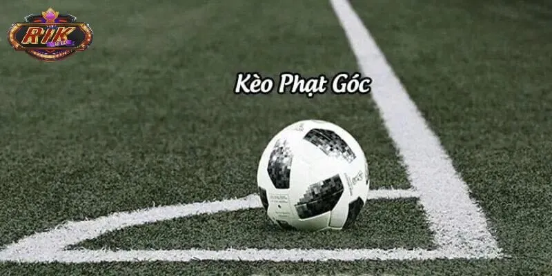 Các bước chơi đơn giản